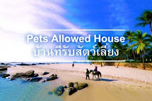 บ้านที่รับสัตว์เลี้ยง